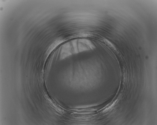 X0000066511178200603311722