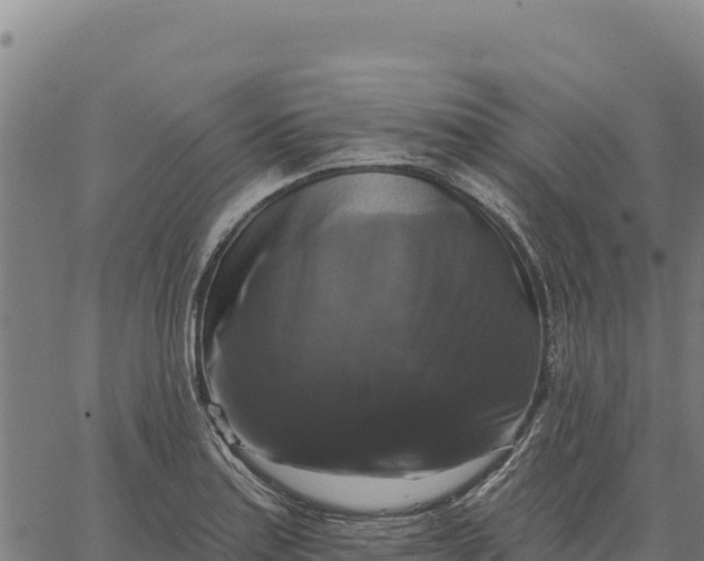 X0000066511179200603311722