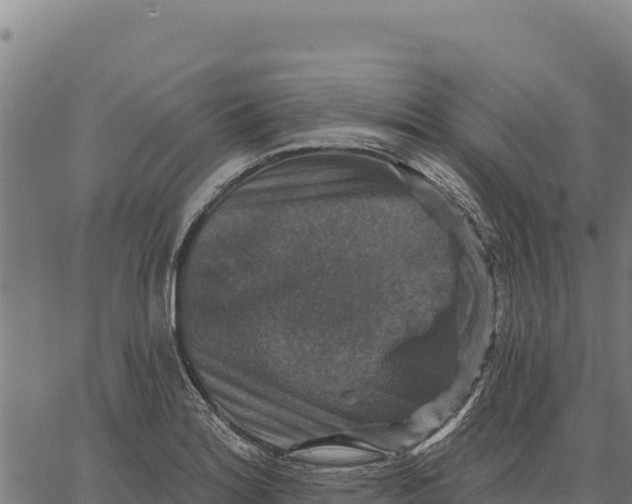 X0000066511180200603311722