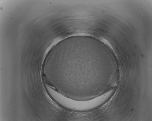 X0000066511181200603311722