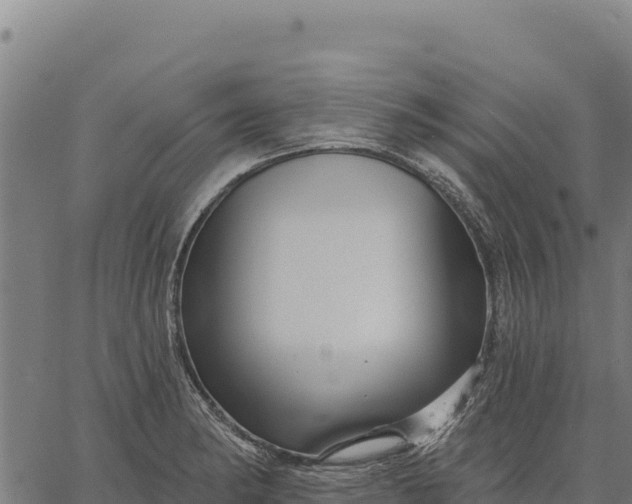 X0000066511182200603311722