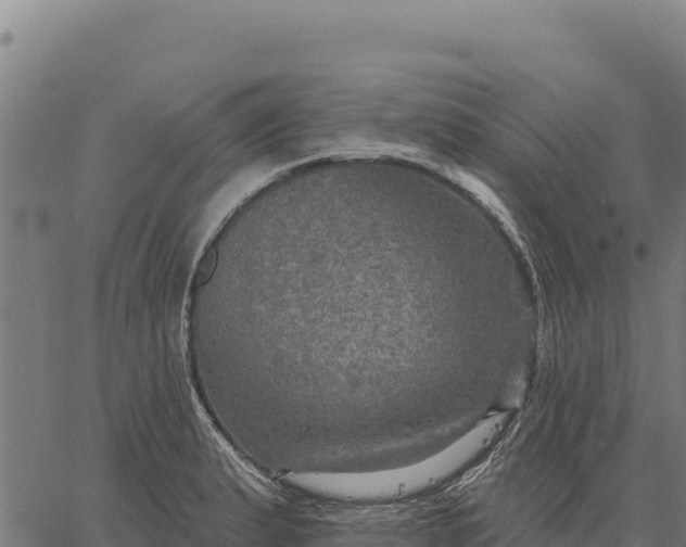 X0000066511183200603311722