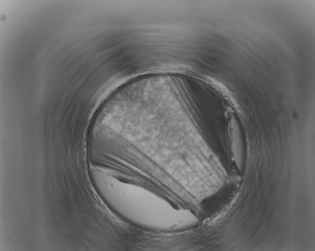 X0000066511184200603311722