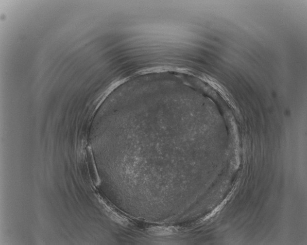 X0000066511185200603311722