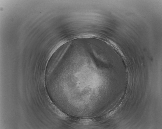 X0000066511186200603311722