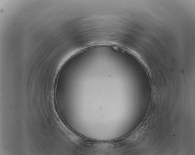 X0000066511187200603311722