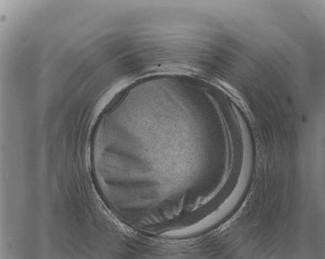 X0000066511188200603311722