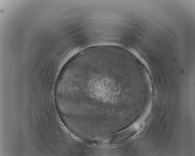 X0000066511189200603311722