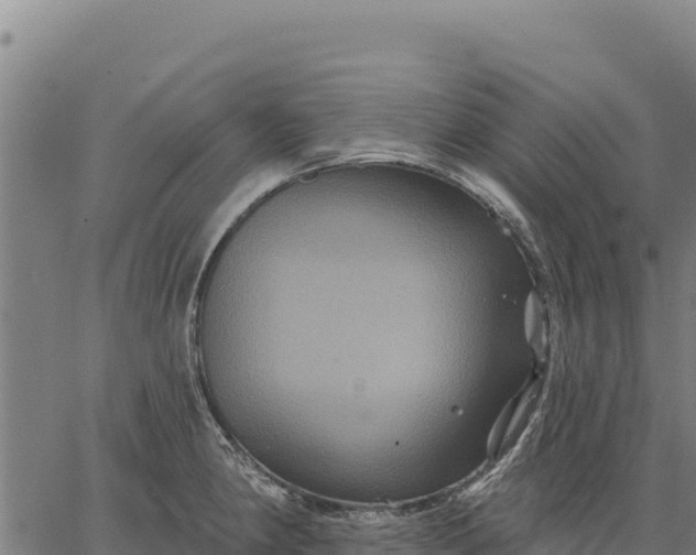 X0000066511190200603311722