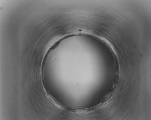 X0000066511191200603311722