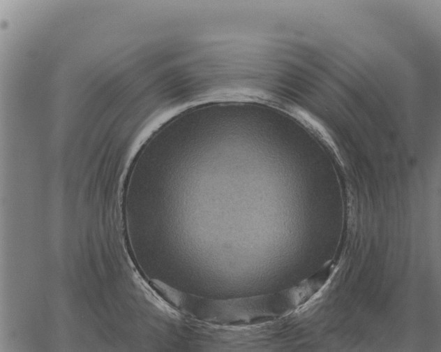 X0000066511192200603311722