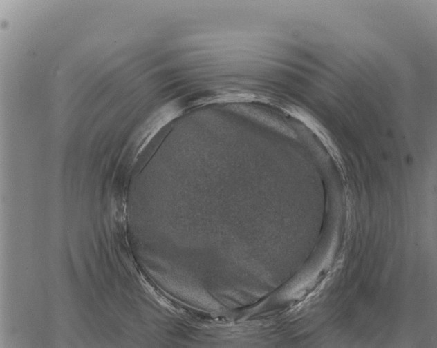 X0000066511193200603311722