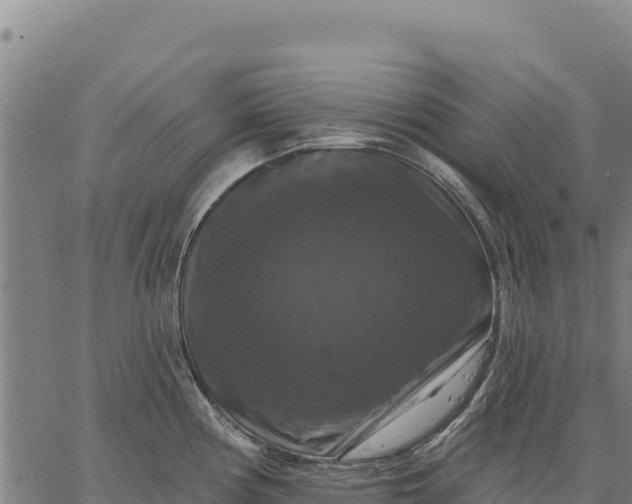 X0000066511194200603311722