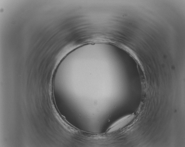 X0000066511195200603311722