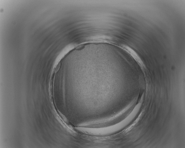 X0000066511196200603311722