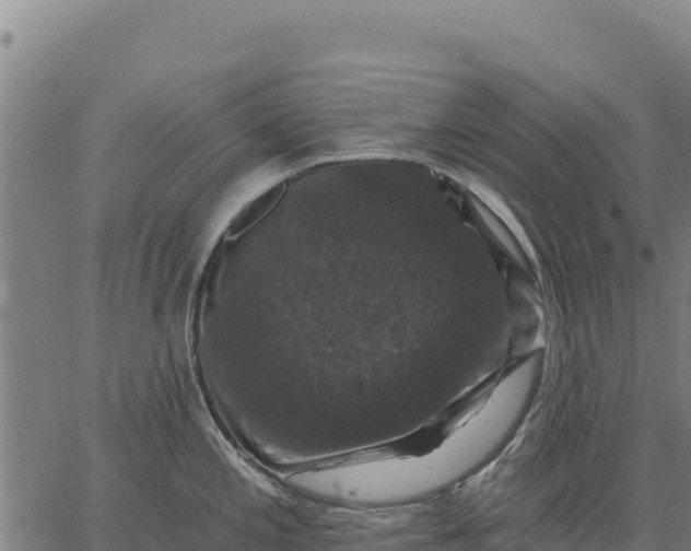 X0000066511197200603311722