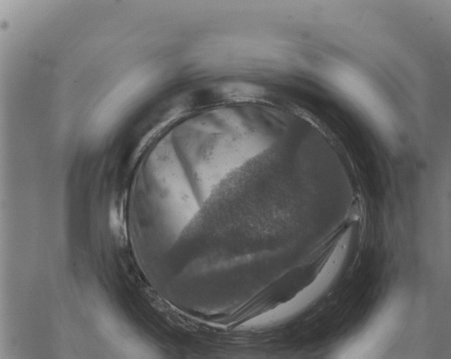 X0000066511198200603311722