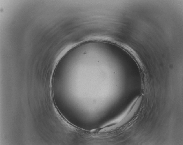 X0000066511199200603311721