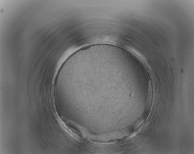 X0000066511200200603311721