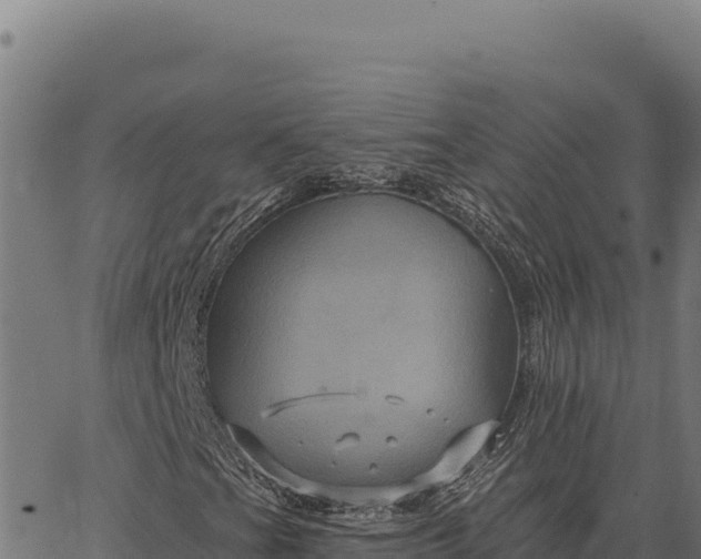 X0000066511201200603311721