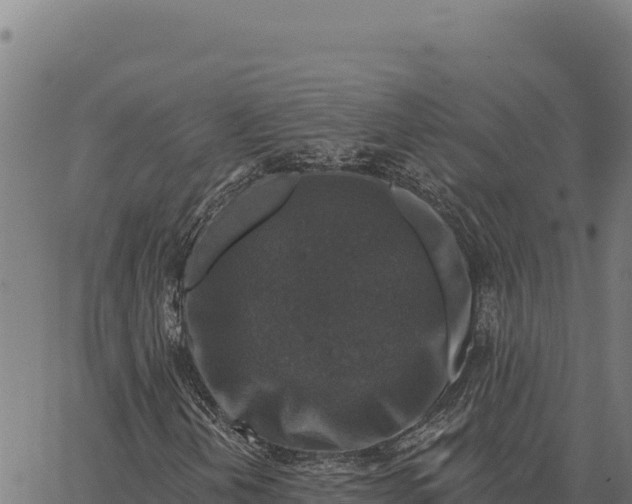 X0000066511202200603311721