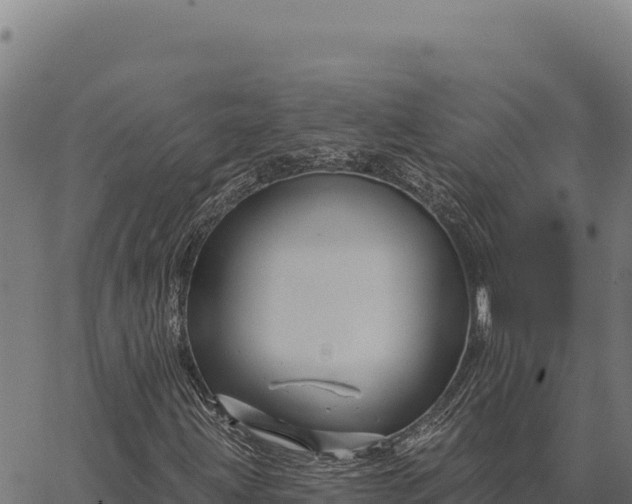 X0000066511203200603311721