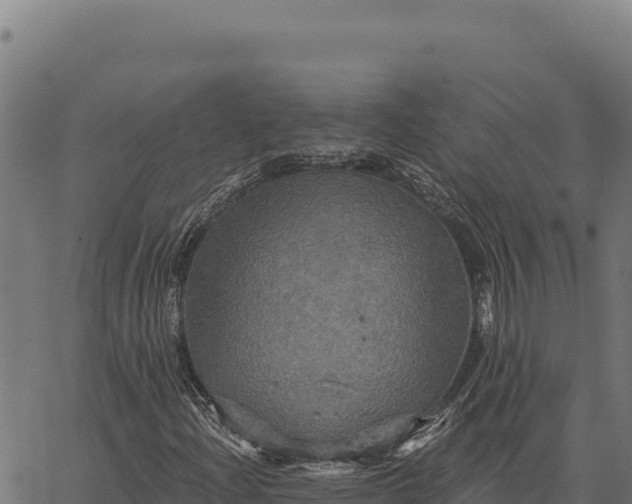 X0000066511204200603311721