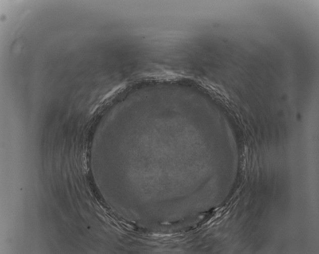 X0000066511205200603311721