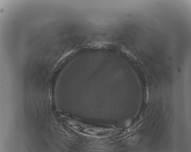 X0000066511206200603311721