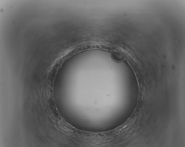 X0000066511207200603311721