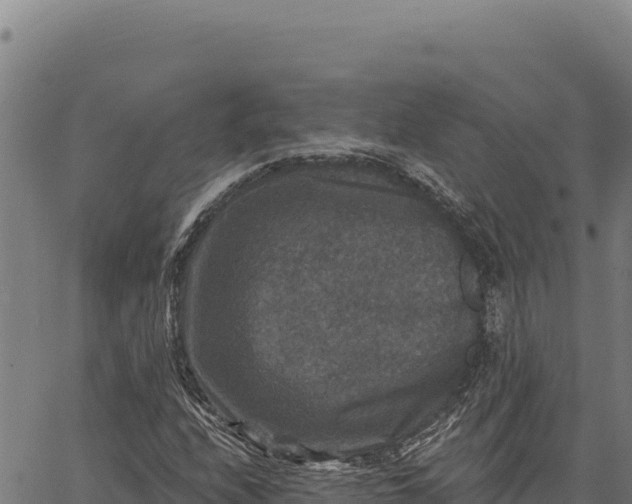 X0000066511208200603311721