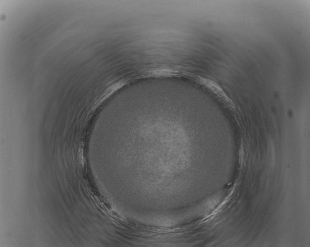 X0000066511209200603311721