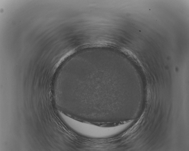 X0000066511210200603311721