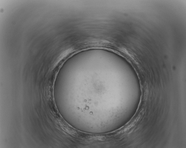 X0000066511211200603311721