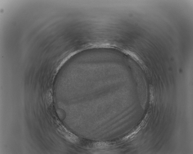 X0000066511212200603311721