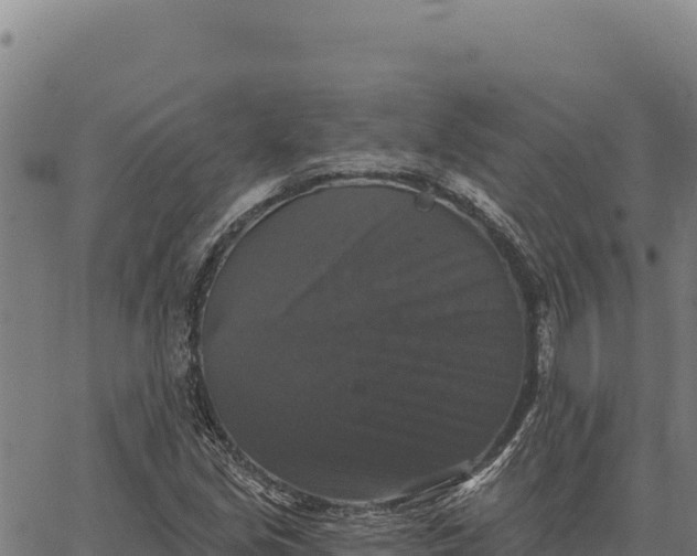 X0000066511213200603311721