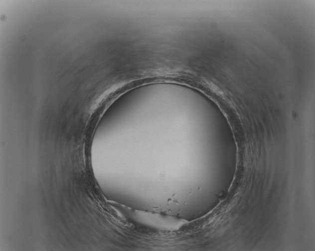 X0000066511214200603311721