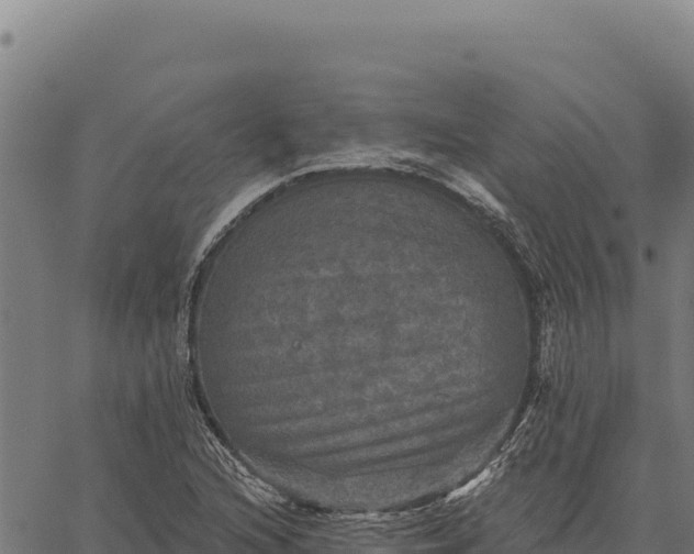 X0000066511216200603311721