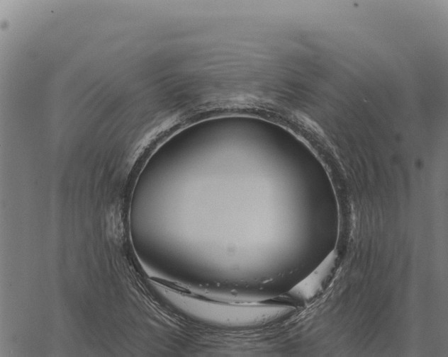 X0000066511218200603311721