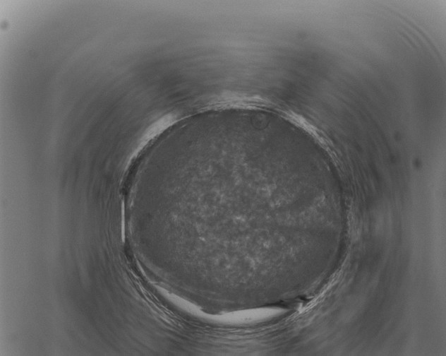 X0000066511219200603311721