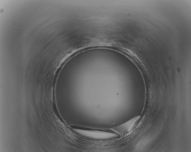 X0000066511220200603311721