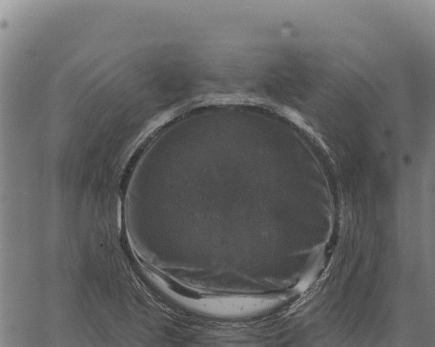 X0000066511221200603311721