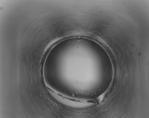 X0000066511222200603311721