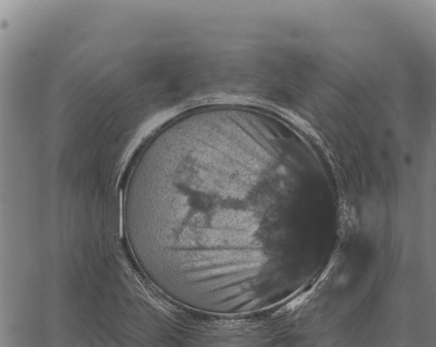 X0000066511223200603311721