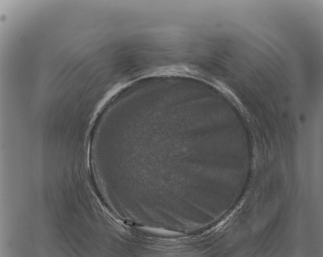 X0000066511224200603311721