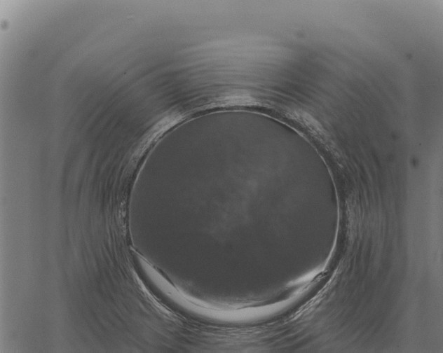 X0000066511225200603311721