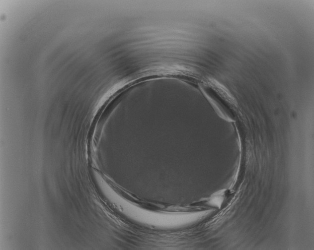 X0000066511226200603311721