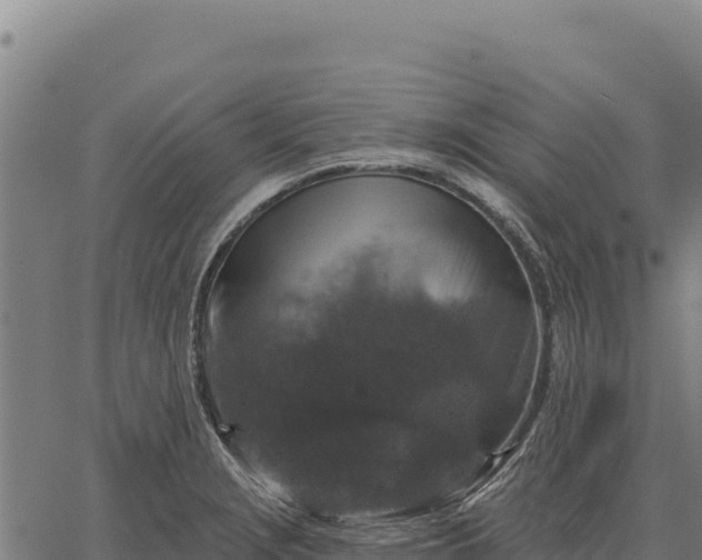 X0000066511229200603311721