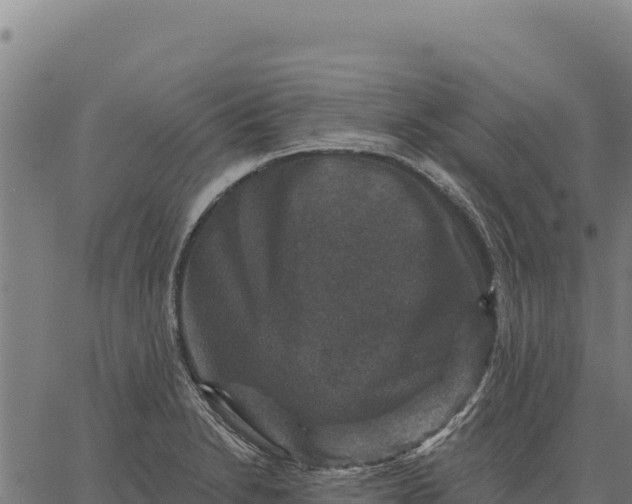 X0000066511230200603311721