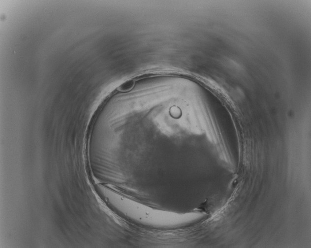 X0000066511231200603311721